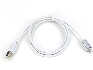 AXTON ABT50 IOS OTG CABLE